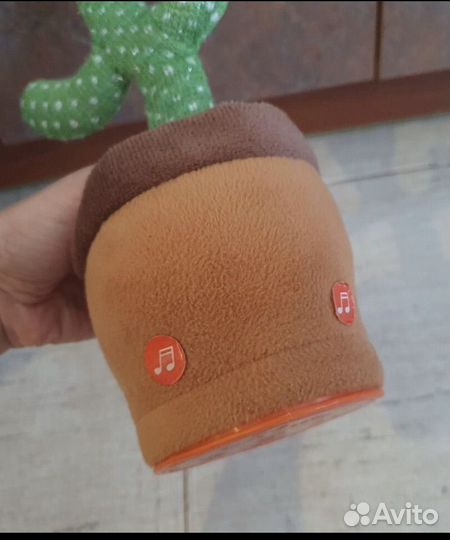 Танцующий кактус