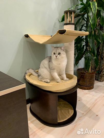 Когтеточка домик для кошки