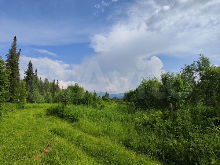 Участок 10 сот. (СНТ, ДНП)