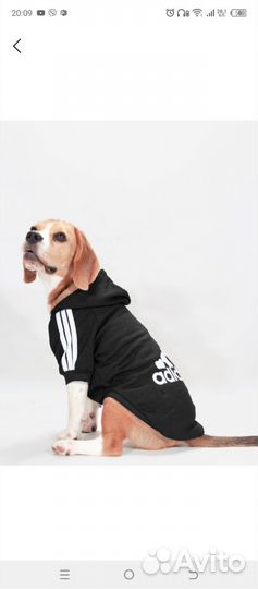 Одежда для маленьких собак