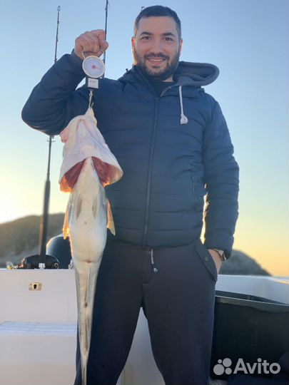 Морская тресковая Pыбалка