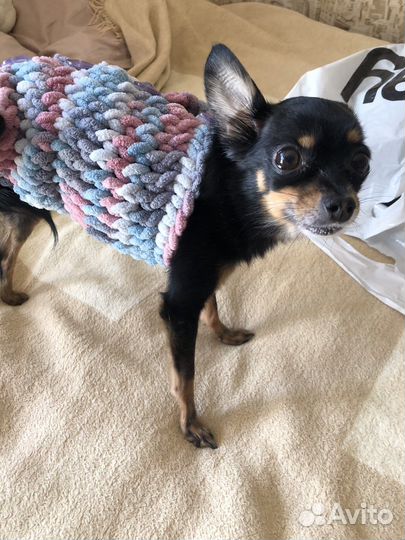 Попона для собак