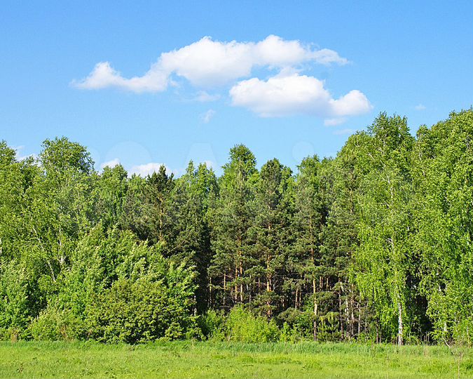 Участок 6 сот. (ИЖС)