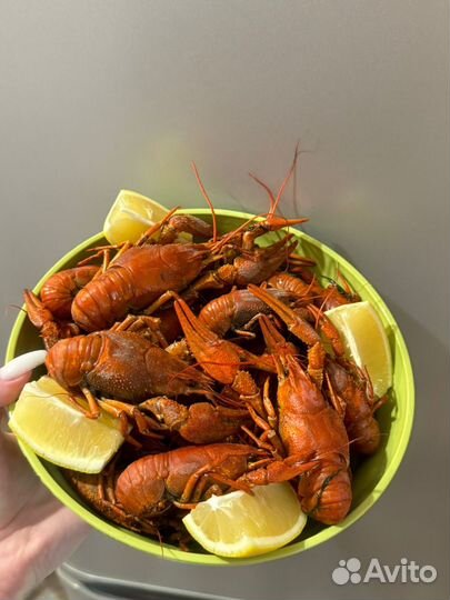 Живые и вареные раки