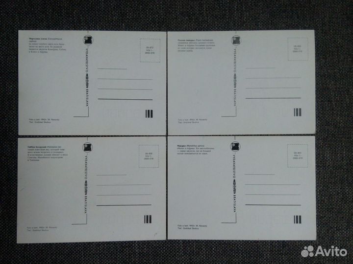 Набор открыток обезьяны