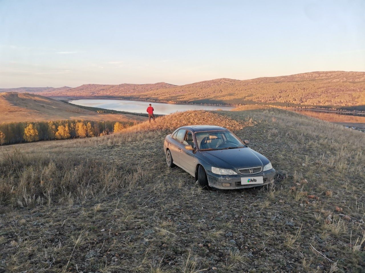 Honda Accord: фото владельца