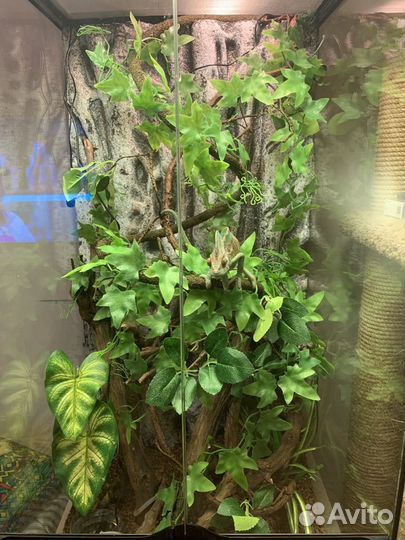 Террариум Exo Terra 45x45x90