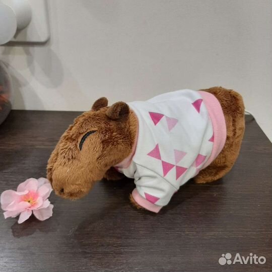 Хит продаж мягкая игрушка капибара