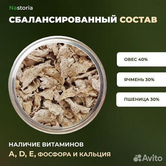 Сухой корм для собак