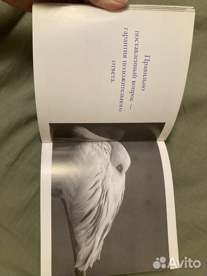 Книга с фото