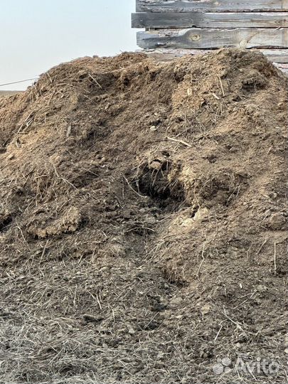 Навоз конский