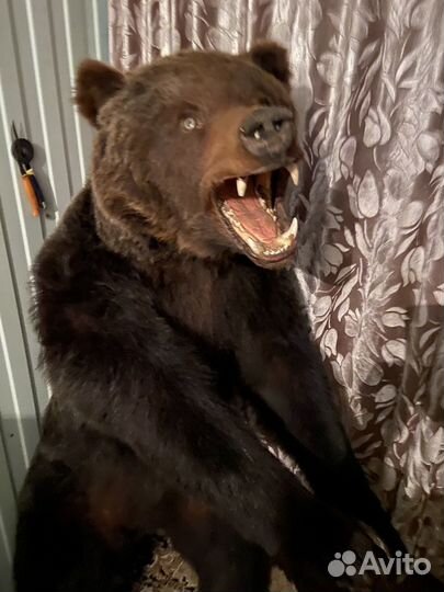 Большая игрушка