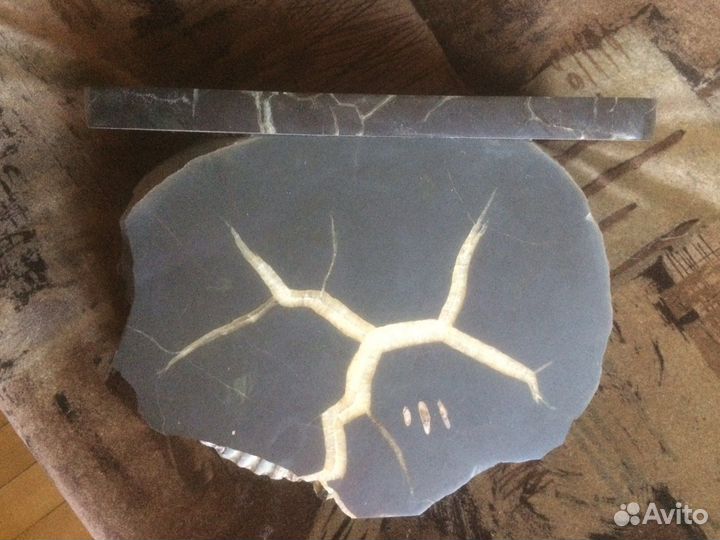 Аммонит пиритизированный на подставке