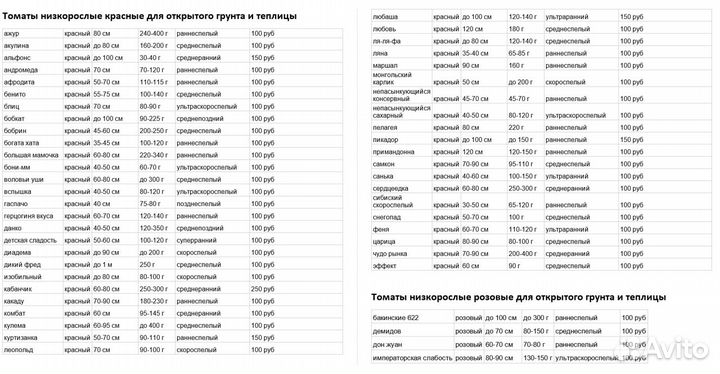 Рассада помидор томат 2024