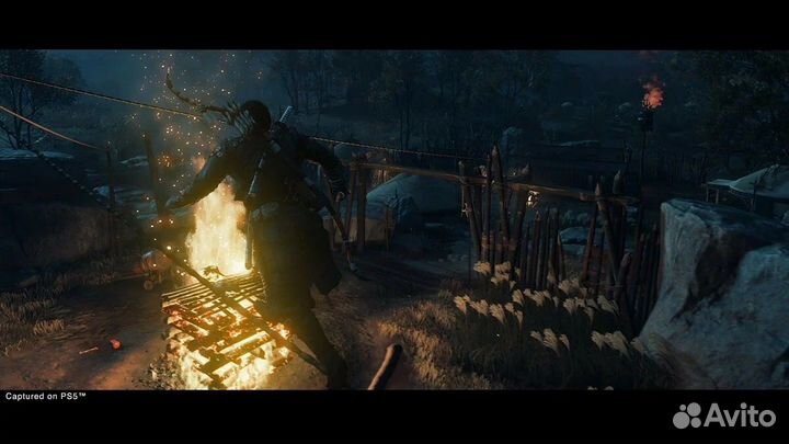 Ghost of Tsushima director’S CUT PS4 PS5