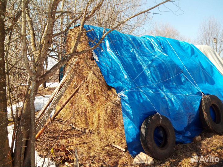 Продам сено в рулонах