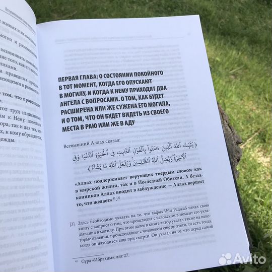 Ужасы могил (в наличии)