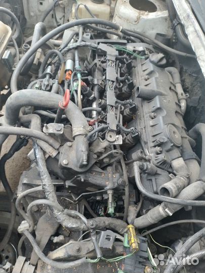 Шкив Коленвала Peugeot Citroen DW10TD