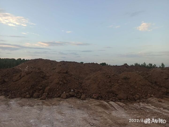 Отдам бесплатно грунт