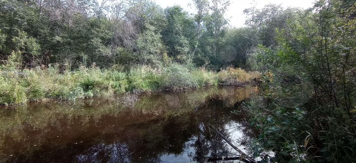 Участок 2,72 га (СНТ, ДНП)