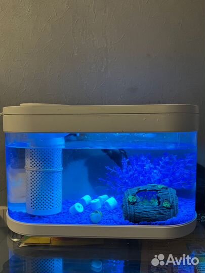 Акваферма xiaomi