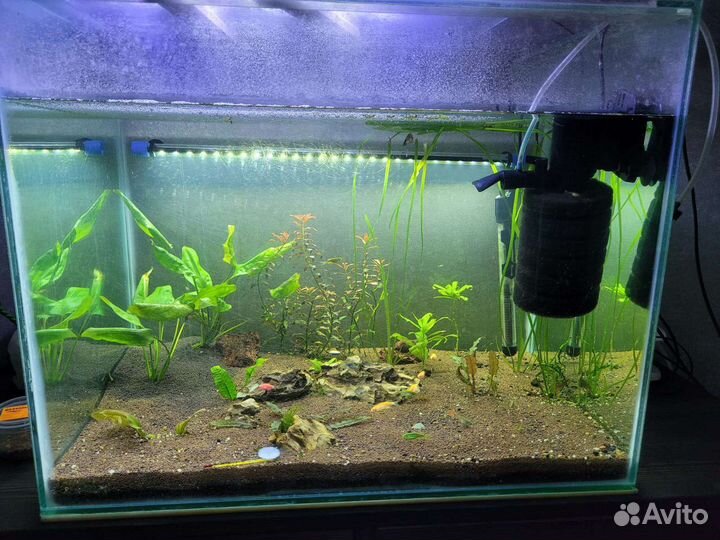 Аквариум 150 литров