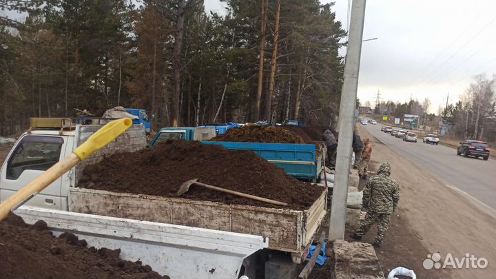 Перегной чернозём торф
