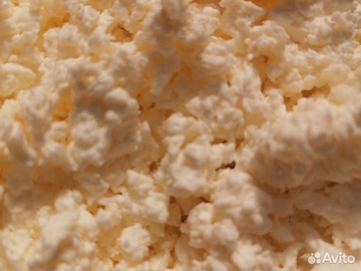 Домашний творог оптом, с доставкой