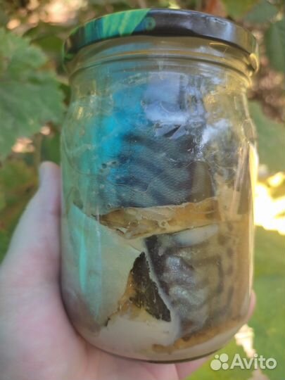 Домашняя тушенка