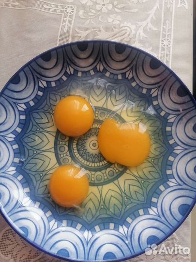 Домашние куриные яйца