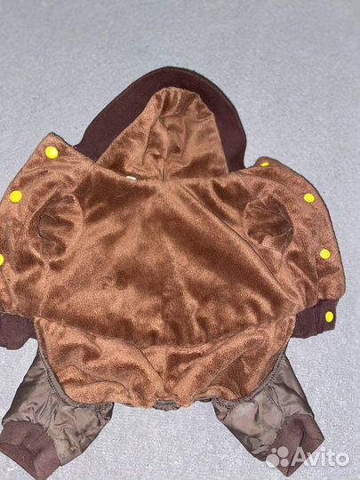 Костюм для маленькой собаки