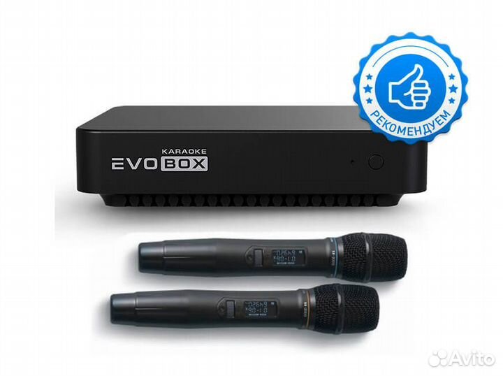 Караоке Evobox + микрофоны