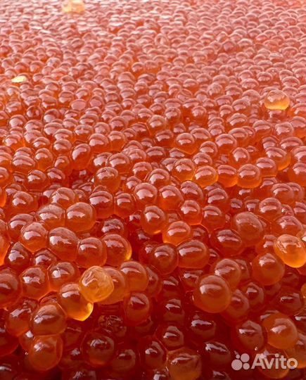 Икра красная 2023