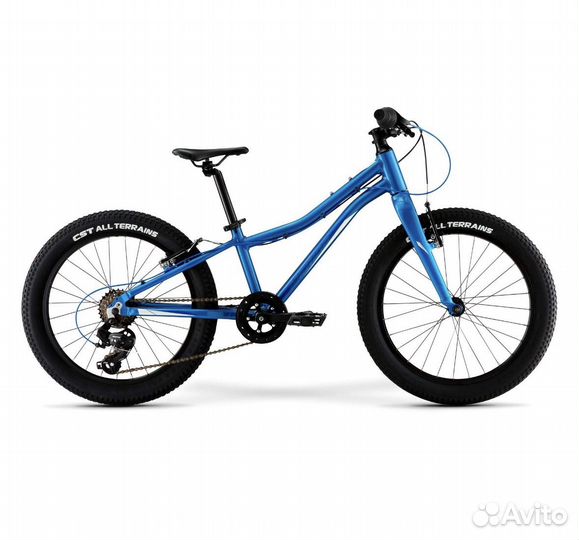 Велосипед детский Merida Matts J20+ Eco синий