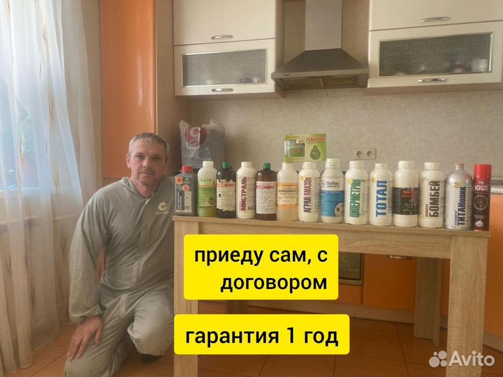 Уничтожение клопов, тараканов, грызунов