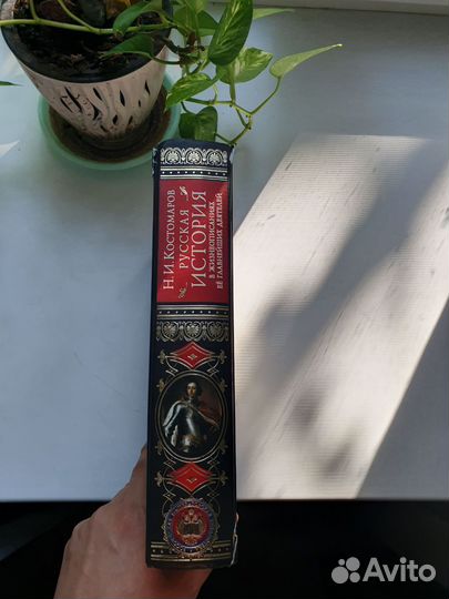 Костомаров Русская история в жизнеописаниях