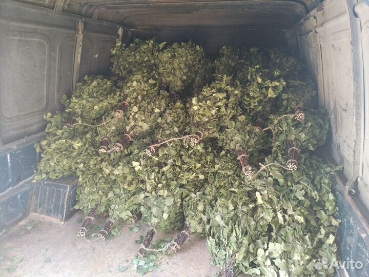 Березовые веники