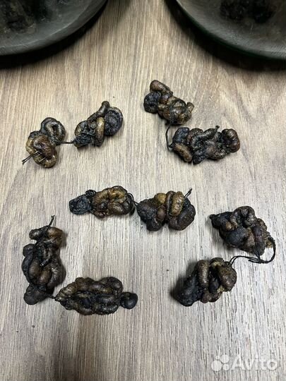 Червь морской вяленый (мяски)