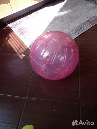 Шар для грызунов