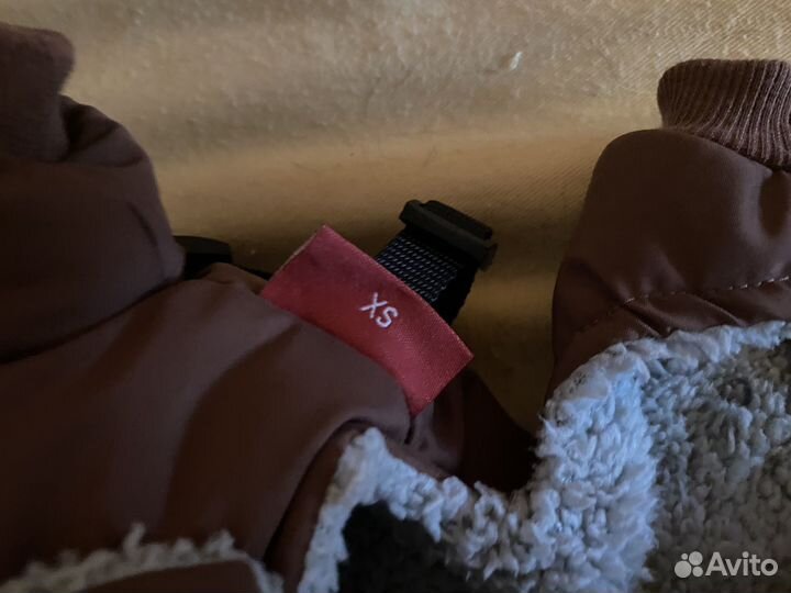 Зимний комбинезон для маленькой собачки