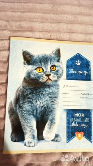 Школьная тетрадь в линейку 18 и 24 листа