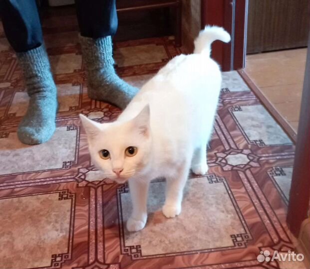 В самые добрые ручки