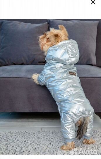 Курточка для собачки