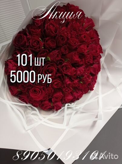 Розы красивые живые свежие 51 шт Тольятти