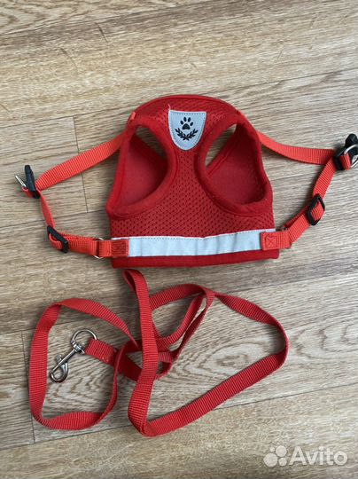 Поводок и намордник для мелких собак