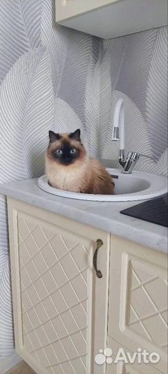 Кухня Модена бюджетная модульная, любой размер