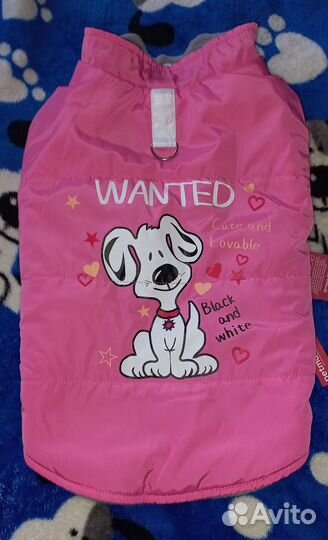 Одежда для собак мелких пород