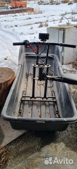 Мото собака