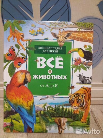 Азбука Жукова, Энциклопедия