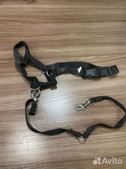 Ошейник, поводок для собак